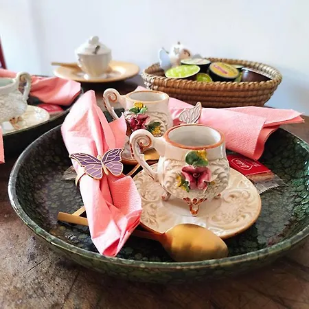 La Scarpetta Magica Un A 5 Stelle Inclusa Offida