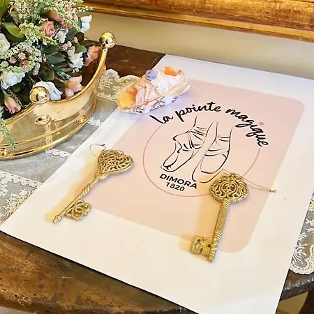 La Scarpetta Magica Un A 5 Stelle Inclusa * Offida