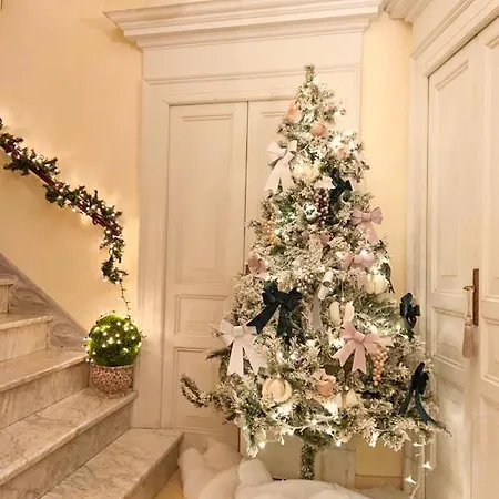 La Scarpetta Magica Un A 5 Stelle Inclusa Offida