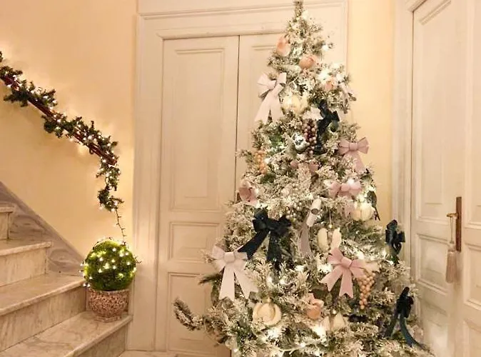 La Scarpetta Magica Un A 5 Stelle Inclusa Offida